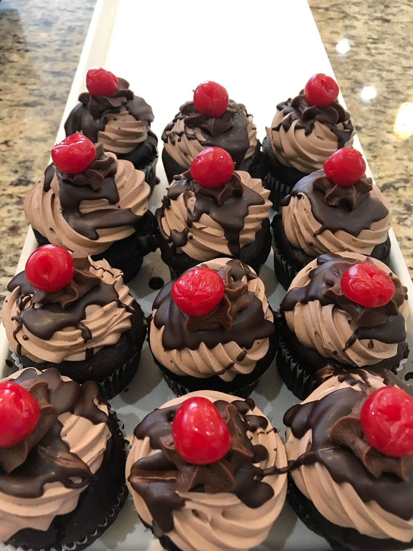 Chocolate Mousse Cupcake